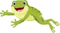 Cartoon happy frog jumping , isolated on white background Royalty Free Stock Photo