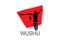 wushu sport vector line icon. sportman, fighting stance.