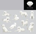 Dog Kuvasz Cartoon Vector Illustration Color Variation Set