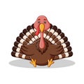 Cute turkey cartoon sitting