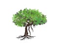 Mangrove tree hand drawn vector logo Royalty Free Stock Photo
