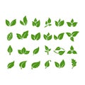 Green leaf icons set on white background. Vector vegetarian, vegan, eco and organic herbal icons Royalty Free Stock Photo