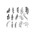 Hand drawn set of leaves and plants. Vector design elements. Royalty Free Stock Photo