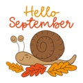 Hello September - Autumnal greeting with cute hand drawn snail and leaves.