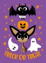 Trick or treat - cute baby bat, pumpkin, chihuahua dog, and ghosts. Isolated on purple background. Royalty Free Stock Photo