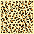 animal skin, Africa background fur texture, seamless Leopard pattern fur texture Animal fur seamless patterns color patterns leopa Royalty Free Stock Photo