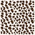 animal skin - Africa background - fur texture seamless - Leopard pattern - fur texture - Animal fur seamless patterns leopard Royalty Free Stock Photo