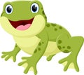 Cartoon happy frog, isolated on white background Royalty Free Stock Photo