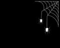 Beautiful Spider web with two spiders isolated on black background - vector Royalty Free Stock Photo