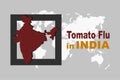 Tomato flu in India with an Indian map on the world map background. Healthcare Infographic