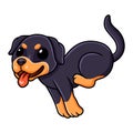Cute little rottweiler dog cartoon running Royalty Free Stock Photo