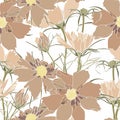 Seamless flower pattern background with line brown Cosmos flower and leaf drawing illustration. Royalty Free Stock Photo