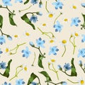 Seamless pattern with blue oxypetalum, camomille flowers, a beige background. Royalty Free Stock Photo