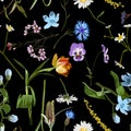 Seamless pattern with yellow blue flowers, oxypetalum, tulip, daffodil, camomille flower a black background.