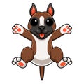 Cute little boxer dog cartoon posing Royalty Free Stock Photo
