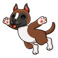 Cute little boxer dog cartoon Royalty Free Stock Photo