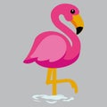 Cute cartoon flamingos. Cute cartoon flamingos. Suitable for use in children\'s book designs