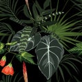 Floral seamless pattern, tropical leaves, plant and flowers on black background. Royalty Free Stock Photo