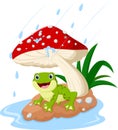 cartoon cute frog taking shelter under a red mushroom Royalty Free Stock Photo