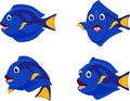 Set of cute Blue Tang Fish cartoon Royalty Free Stock Photo