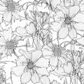 Seamless flower pattern background with black line Cosmos flower and leaf drawing illustration. Royalty Free Stock Photo
