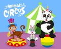 Circus animals, monkeys, cute pandas and bunnies