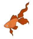 Goldfish illustration. Sea and ocean inhabitant fish icons. Orange fish on a white background.