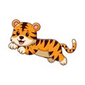 Cute Tiger Jumping Cartoon. Animal Icon Concept. Flat Cartoon Style. Suitable for Web Landing Page, Banner, Flyer, Sticker, Card Royalty Free Stock Photo