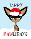 Happy Pawlidays - Chihuahua dog in santa hat. Happy Christmas greeting.