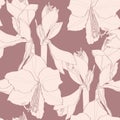 Abstract line beige elegant seamless pattern with hand-drawn amaryllis flowers. Royalty Free Stock Photo