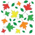 Leaves Falling Fall Drop Autumn Green Red Orange Yellow Royalty Free Stock Photo