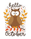 Hello October - autumnal greeting with owl on branch. Royalty Free Stock Photo