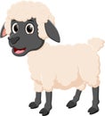 Cartoon happy sheep posing isolated on white background Royalty Free Stock Photo