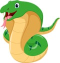 Cobra snake cartoon isolated on white background Royalty Free Stock Photo