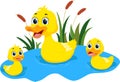 Happy Duck family cartoon isolated on white background Royalty Free Stock Photo