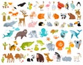 PrintÃÅ½ Big set of cartoon animals. Forest animals, tropical animals, sea animals. Royalty Free Stock Photo