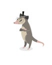 Print. Funny cartoon opossum. Possum stands.