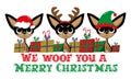 We woof you a Merry Christmas - Santa, reindeer, and elf chihuahua dogs with christmas presents.