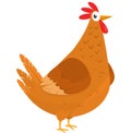 Cartoon big fat hen isolated  on a white background. Vector illustration of a brown chicken Royalty Free Stock Photo