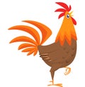 Cartoon rooster with bright feathers on the tail and a red crest. Vector illustration Royalty Free Stock Photo