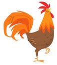 Cartoon rooster with bright feathers on the tail and a red crest. Vector illustration Royalty Free Stock Photo