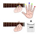 Guitar Chord Basic and Hand Position for Guitar Chord vector. Freestyle Chord. Royalty Free Stock Photo