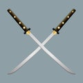 Realistic Sword, ancient sword Royalty Free Stock Photo