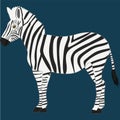 An Isolated Zebra Vector Illustration Graphic