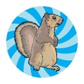 Cute squirel vector illustration in cartoon style,