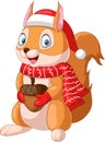 Cute squirrel cartoon wearing scarf and hat holding a nut Royalty Free Stock Photo