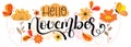 Hello November. NOVEMBER month text calligraphy vector with flowers, butterfly and leaves. Illustration November calendar
