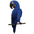 Cute blue macaw parrot sits on a branch