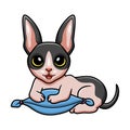 Cute cat cornish rex cartoon on the pillow