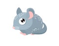 Print. Vector cartoon chinchilla. Sweet rodent. Cartoon character.Little fluffy mouse. gray wool